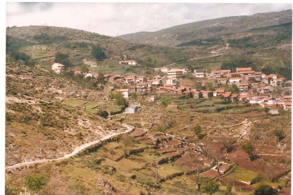 Casa Largo S Lourenco E Casa Da Videira Mazes Экстерьер фото